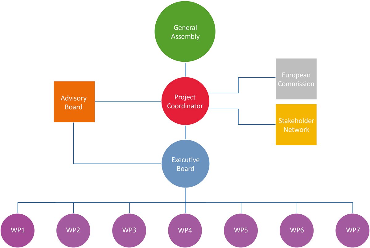 DESTRESS management structure