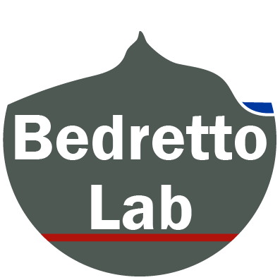 Inauguration of Bedretto Lab